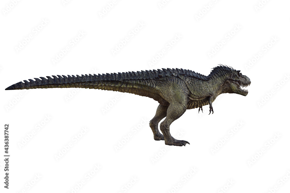 tyrannosaurus rex, in different poses for better adaptation to your collagen. 3d illustration, 3d rendering. tyrannosaurus rex, in different poses for better adaptation to your collagen. 3d illustration, 3d rendering.