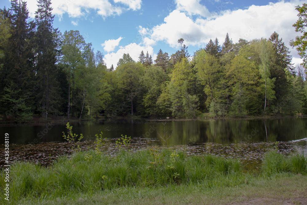 Obraz premium Spring flowering in Sergievka Park