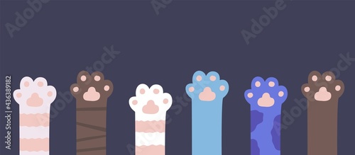Cat paws. Kitty fur legs. Funny domestic pets foot