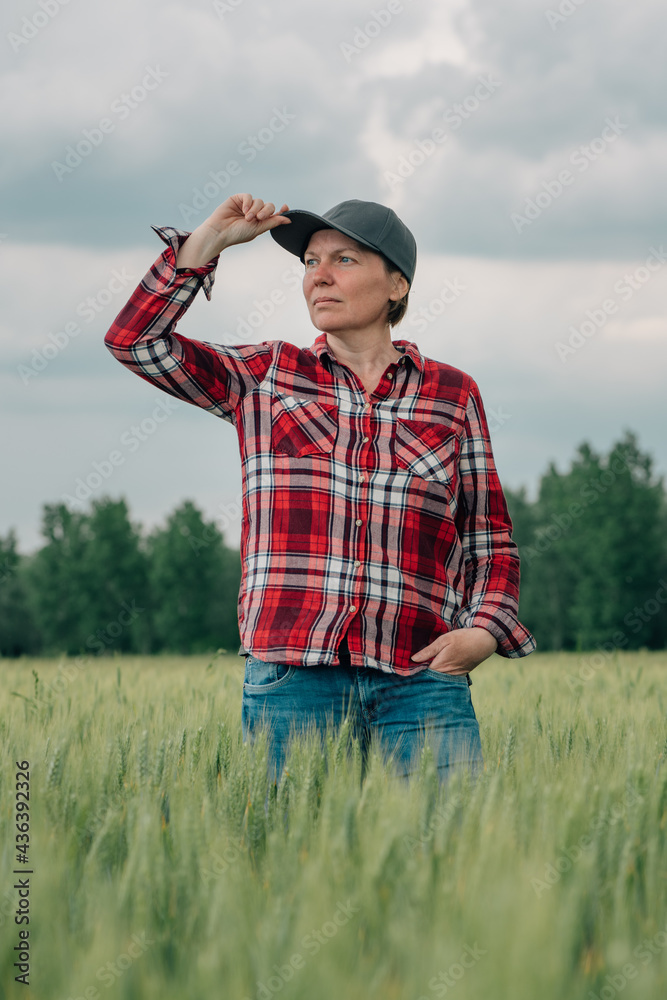 custom made wallpaper toronto digitalResponsible wheat farmer agronomist looking at her cultivated cereal crop agricultural field