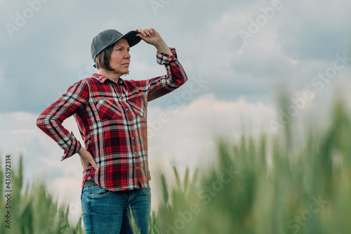 Responsible wheat farmer agronomist looking at her cultivated cereal crop agricultural field