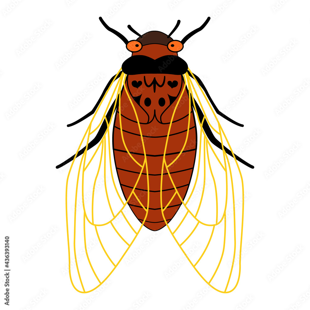 Periodical cicadas of Brood X. Cartoon illustration of an insect with ...