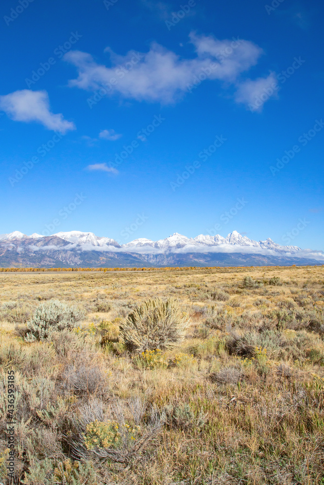 Grand Teton