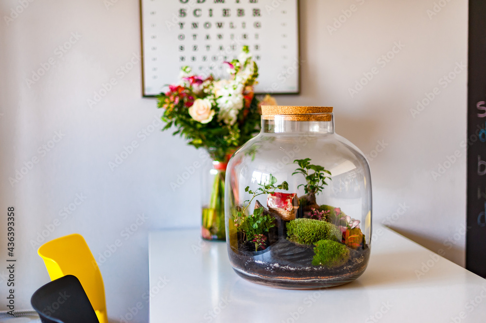 Terrarium with plants - ginseng ficus, miniature house, miniature world. A forest in glass in the company of cut flowers on the table in front of a Scandinavian poster. Minimalist interio
