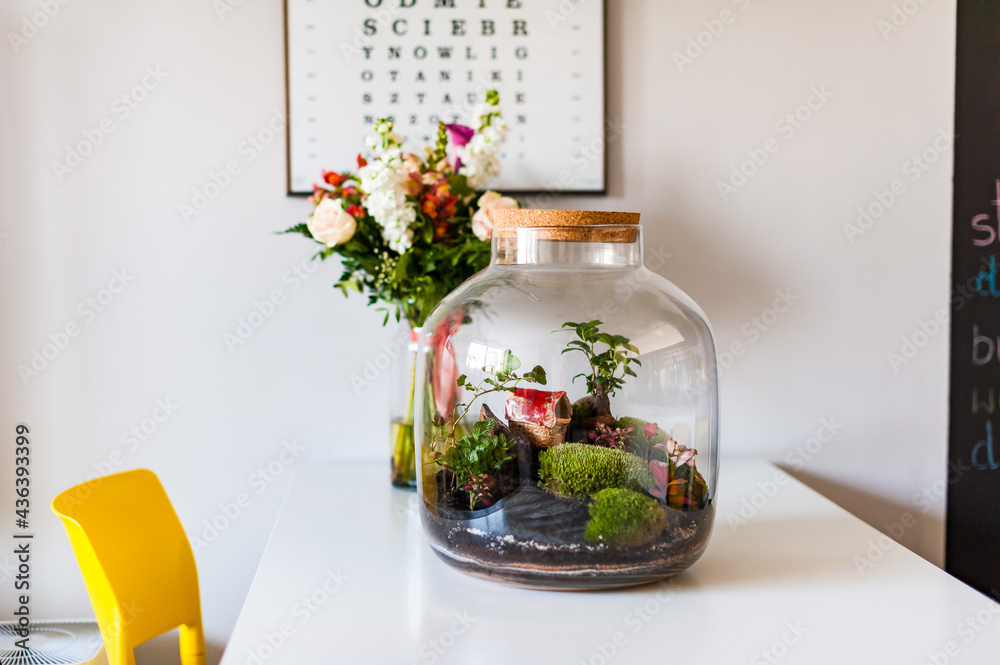 Terrarium with plants - ginseng ficus, miniature house, miniature world. A forest in glass in the company of cut flowers on the table in front of a Scandinavian poster. Minimalist interio
