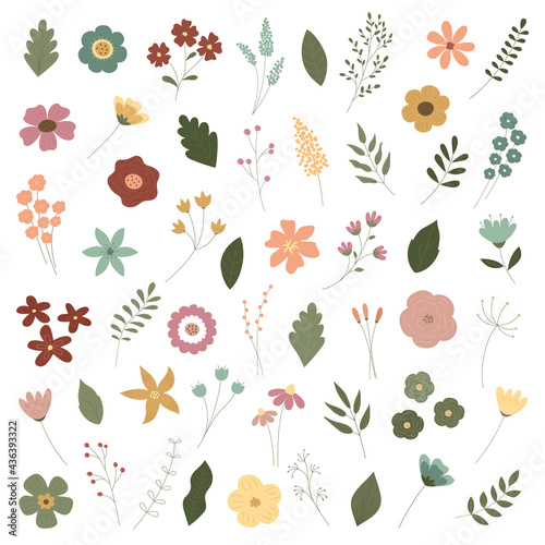 A set of colorful flowers and plants. Flower cliparts for postcards, logos, business cards, invitations. Hand-drawn flowers and plants. Vector illustration.