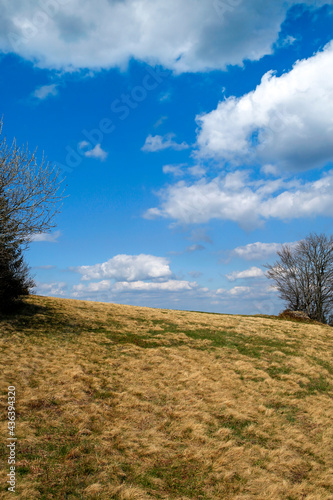 Fototapeta Naklejka Na Ścianę i Meble -  mountain glade and cloudy sky