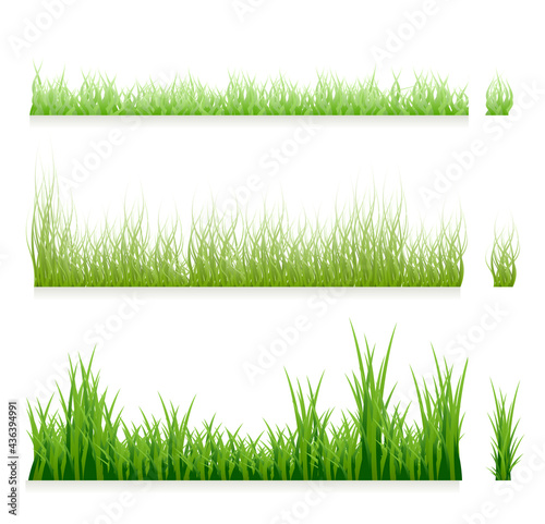 Set of green grass borders, isolated on white background. Fresh spring grass in different shades of green lengths and densities. The collection of natural elements templates. Jpeg