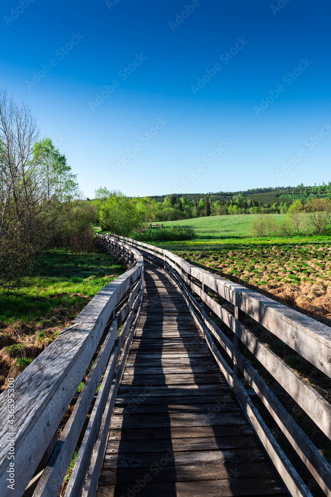 Wooden Footpath in Tarnawa Moors in Bieszczady Park, Poland Wooden Footpath in Tarnawa Moors in Bieszczady Park, Poland