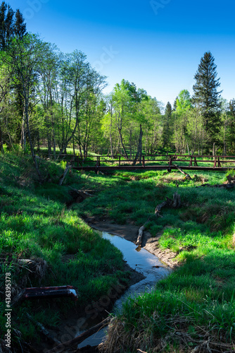 Fototapeta Naklejka Na Ścianę i Meble -  Wild Nature Reserve in Tarnawa Moors in Bieszczady Park in Poland. Carpathia Mountains