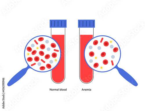 Blood structure concept