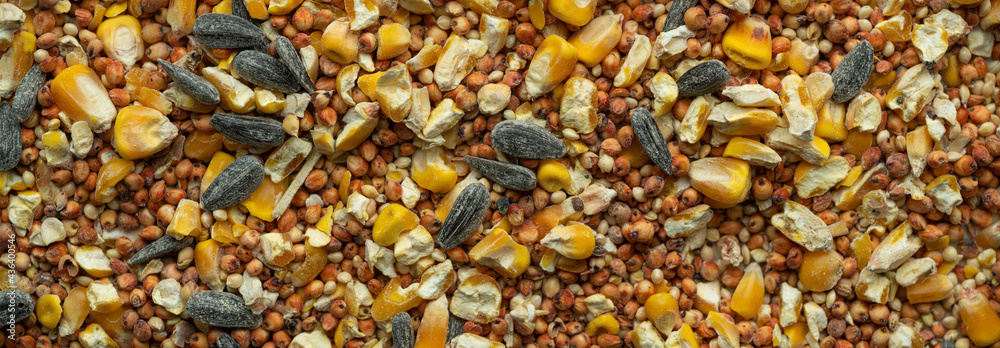 Bird Seed Mix Panorama Bird Seed Mix Panorama