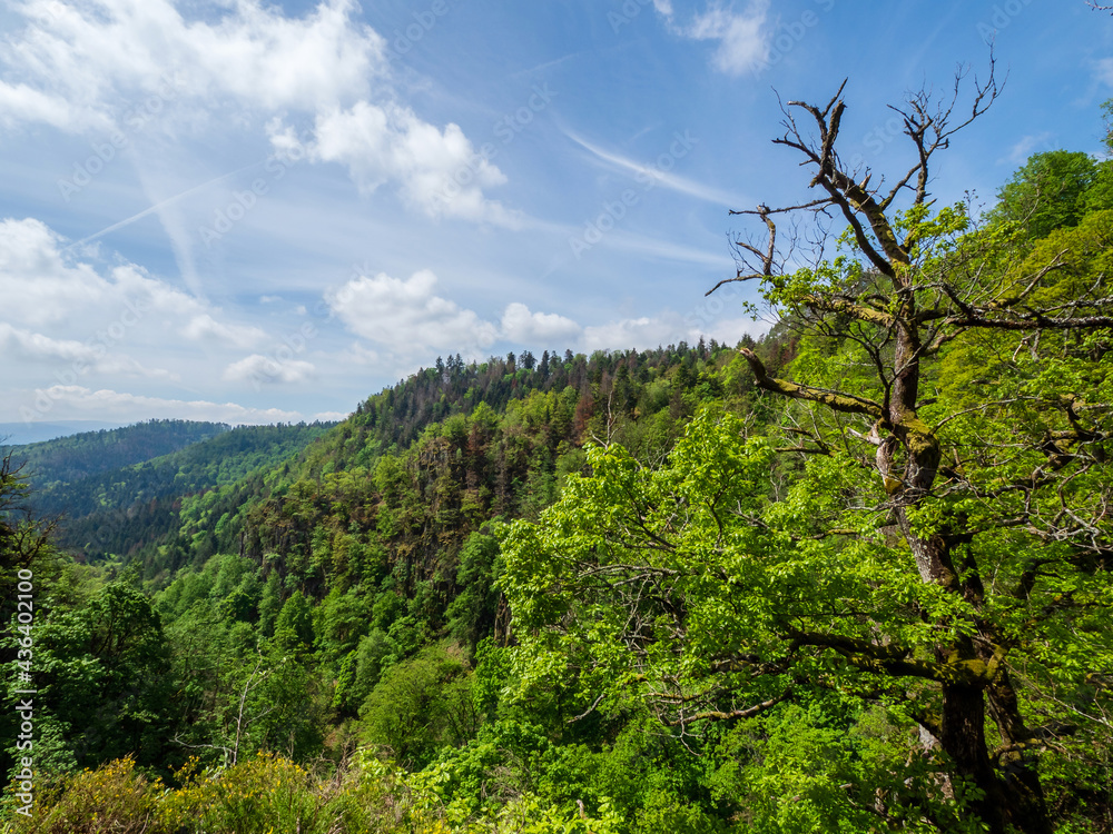 Stunning landscapes of the Vosges. Moss on the stones, views of the mountains, forest, nature.