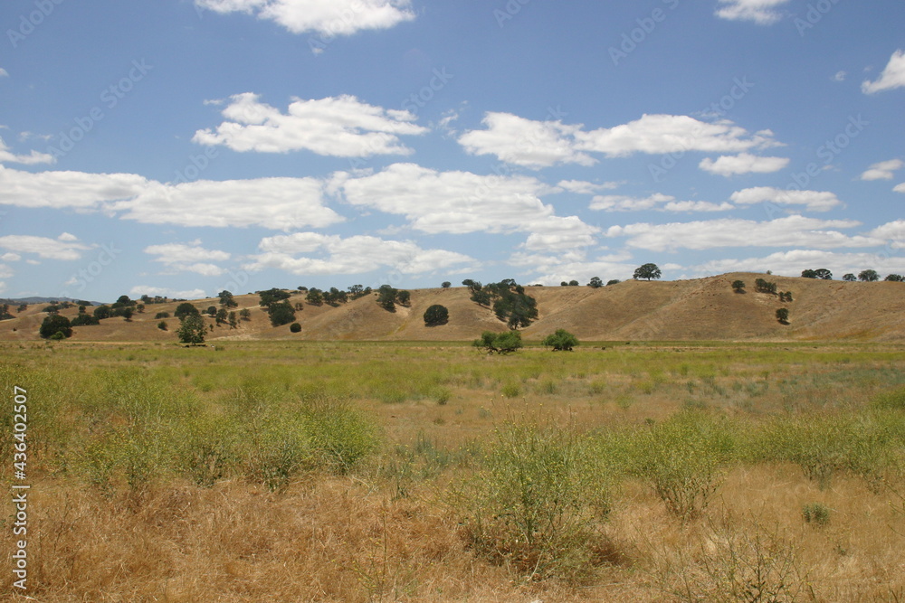 Obraz premium Dry California Hills of the Central Valley with Gentle Rolling Sloes and Pasture Land