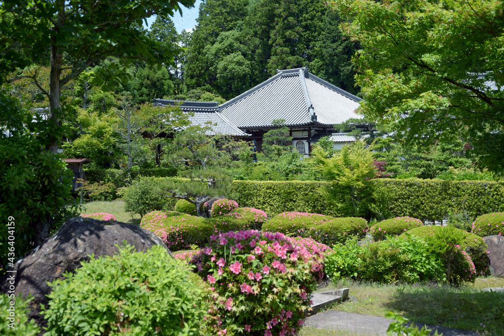 Obraz premium 大池寺 本堂遠景 滋賀県甲賀市