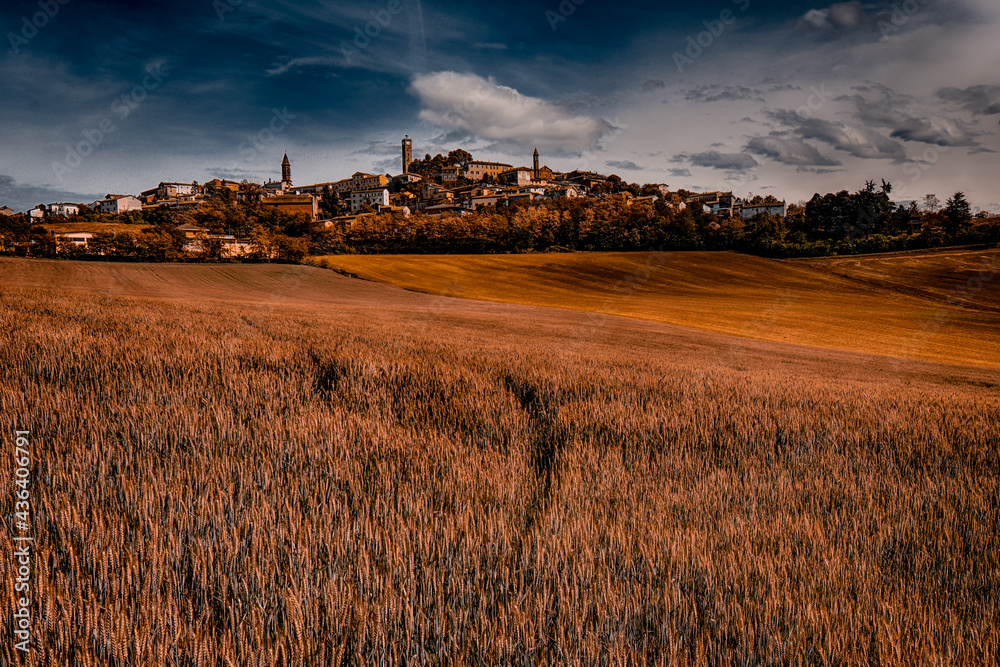 Fototapeta premium Monferrato - Lu