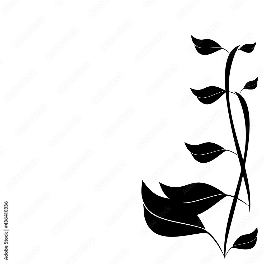 silhouette of leaves and stems on white background