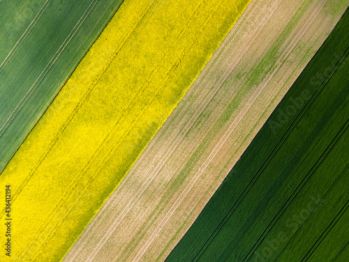 Agricultural field forming patterns 