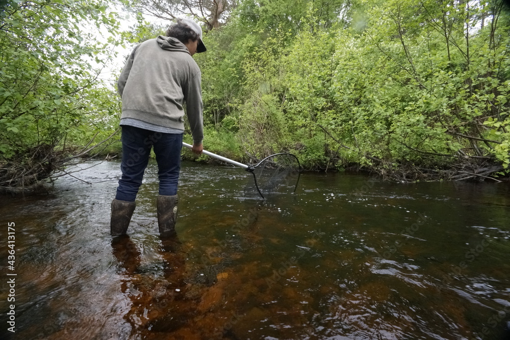 man fishing in the river for gaspereau fish. Nova Scotia man fishing in the river for gaspereau fish. Nova Scotia