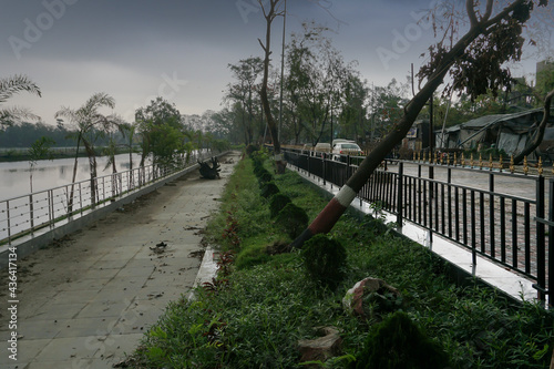 Super cyclone Amphan uprooted tree which fell on the railing. The devastation has made many trees fall on ground. Shot at Howrah, West Bengal, India. photo