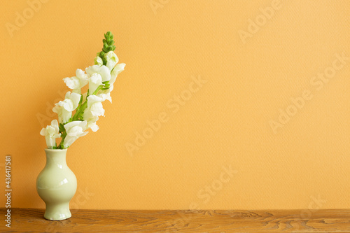 Vase of white snapdragon flowers on wooden table. orange background photo