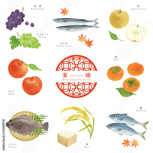 秋の薬膳-2/食材の手描きイラスト