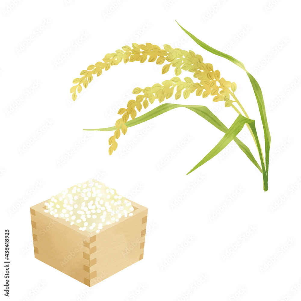 稲穂と米のイラスト 水彩タッチ Stock Illustration Adobe Stock