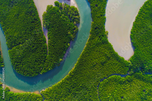 Aerial view mangrove forest sea bay ecology system