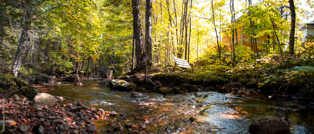 Obraz premium Stoneham river panorama