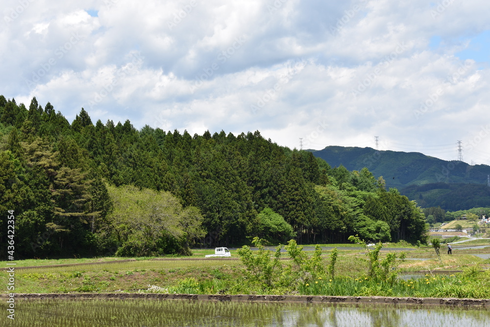 Obraz premium 日本 群馬の水上 夏の風景