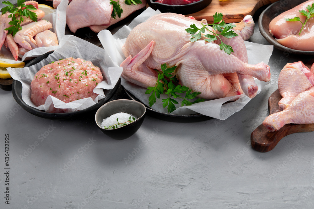 Raw chicken meat parts with spices and herbs for cooking on gray background.
