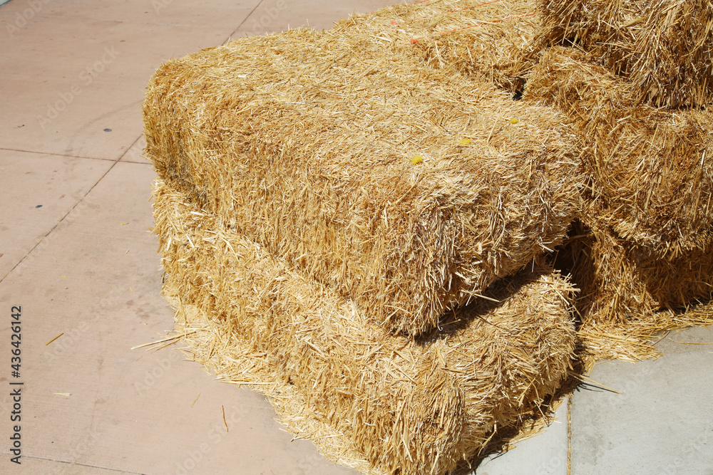 Stack Hay/straw Hay Bales. Piled stacks of dry straw collected for animal feed. Dry ...