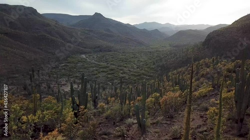 Sunset over the desertic landscapes of Baja California