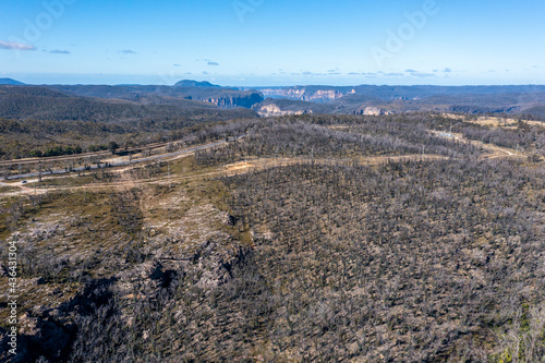 Drone aerial photograph of forest regeneration after bushfires in regional Australia