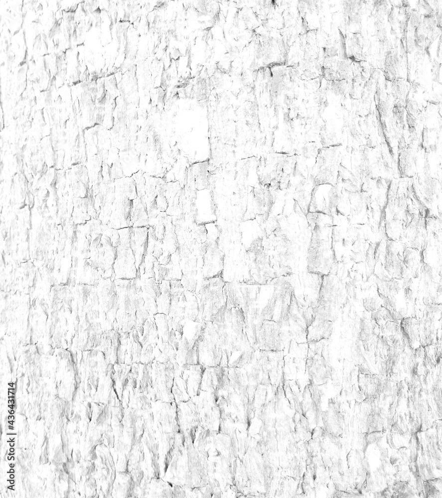 White rough bark texture in retro concept.