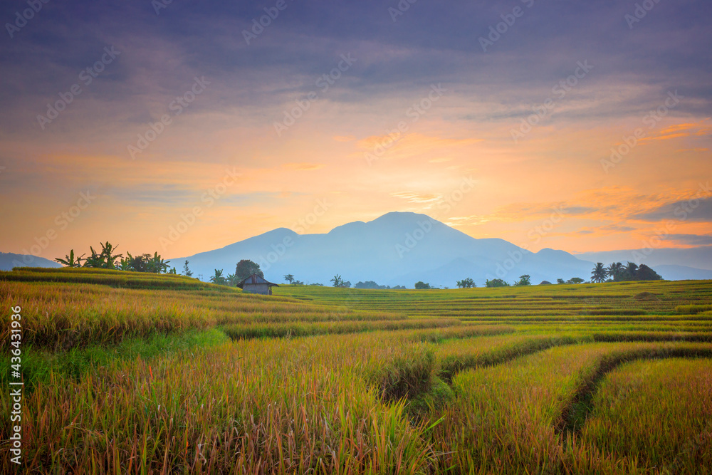 landscape Expanse of rice fields at morning sunrise with beautiful mountains in Indonesia