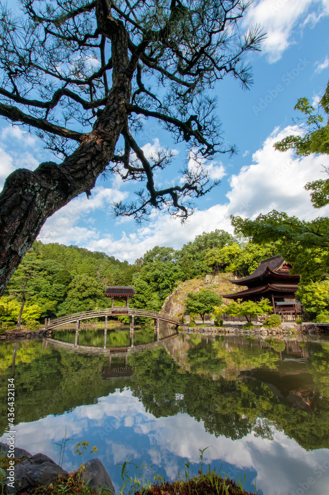 Fototapeta premium 寺