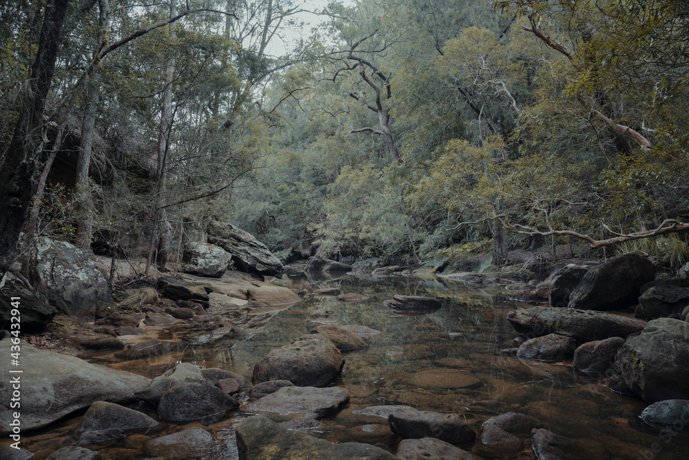 A quiet, rocky section of a creek at Berowra Creek near the Hawkesbury River. A quiet, rocky section of a creek at Berowra Creek near the Hawkesbury River.