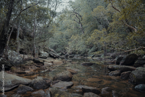 A quiet, rocky section of a creek at Berowra Creek near the Hawkesbury River.