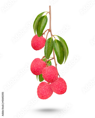 Lychee Bunch with lesves isolated on white background photo