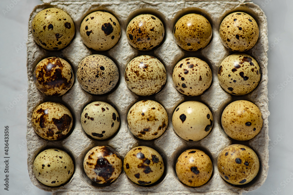 Quail eggs in a package Quail eggs in a package