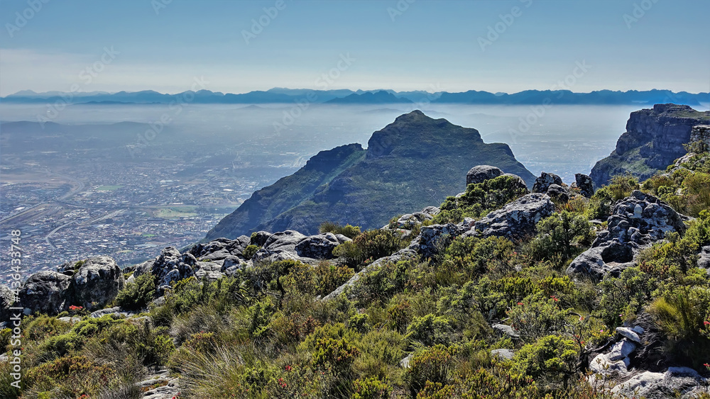 Table Mountain top landscape in Cape Town. Among the gray boulders, a green fynbos shrub grows. The city below is hiding in a haze. Clouds on the horizon. South Africa Table Mountain top landscape in Cape Town. Among the gray boulders, a green fynbos shrub grows. The city below is hiding in a haze. Clouds on the horizon. South Africa
