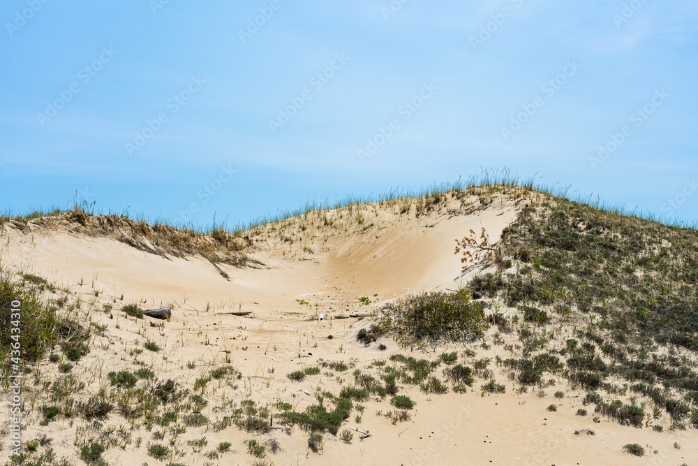 Sand dune on Plum Island. National Wildlife Refuge. MA, USA