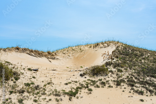 Sand dune on Plum Island. National Wildlife Refuge. MA, USA