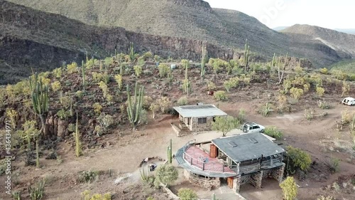 Aerial shot of cactus landscape in Mexico