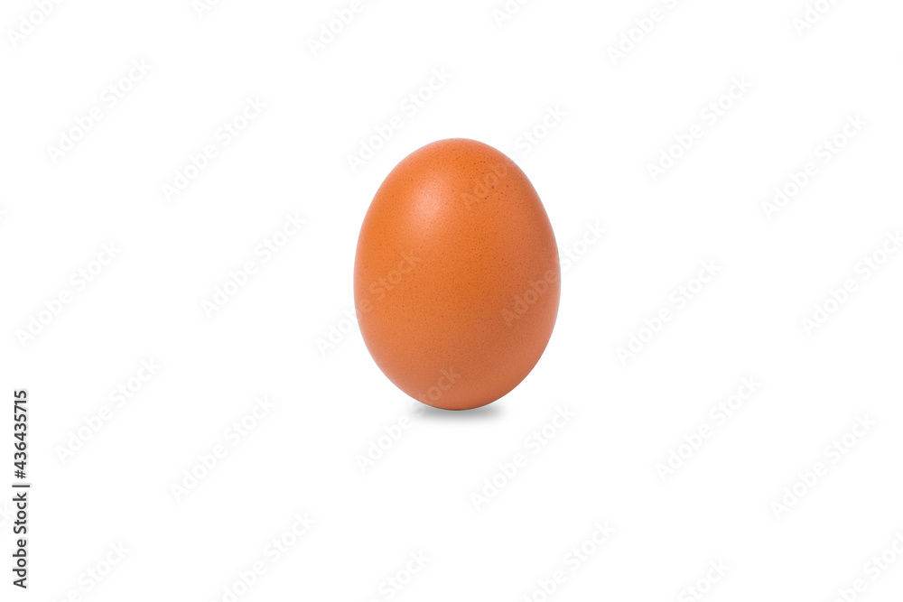 Egg isolated on white background. clipping path Egg isolated on white background. clipping path