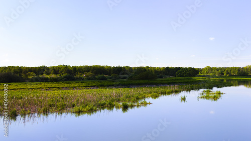 Landscape with lake and trees in the spring morning.