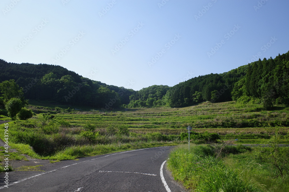 とても美しい日本の岡山県の棚田の風景