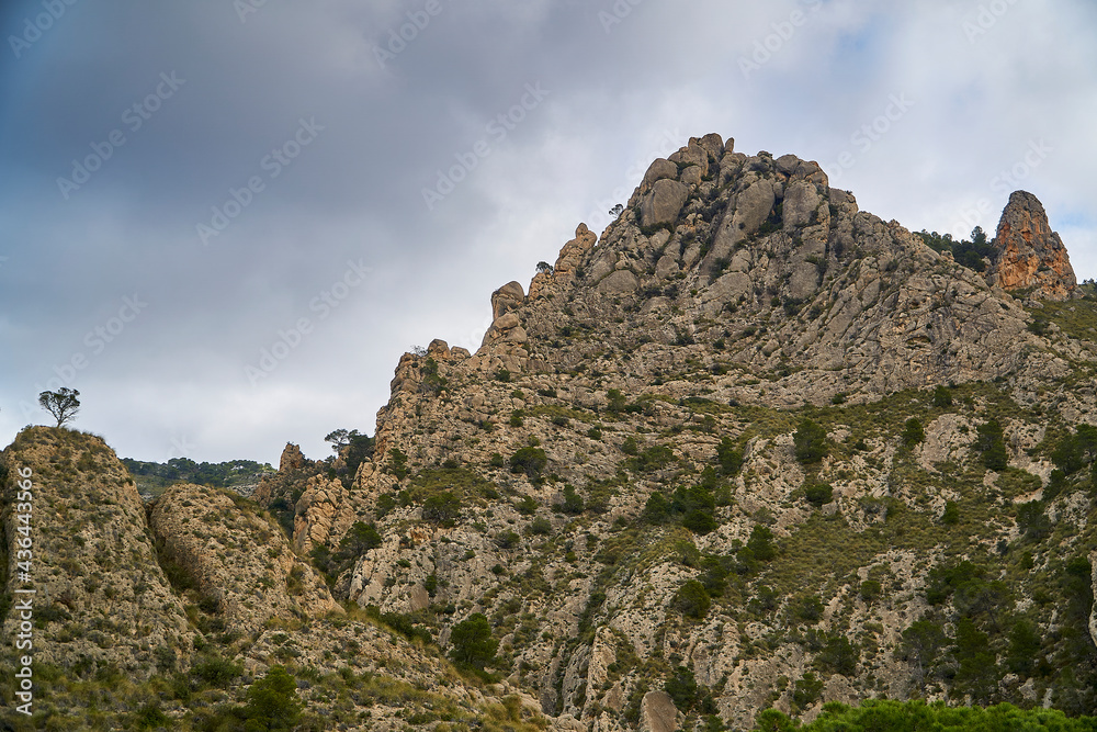 Escenas del monte mediterráneo (Alicante)