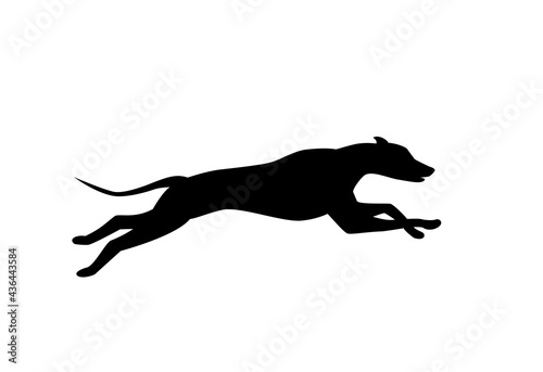 Photographie running dog silhouette in black color vector